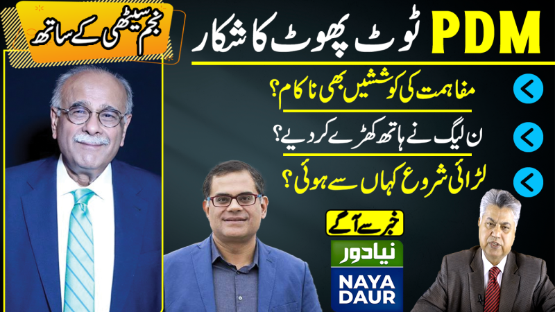 PDM Dismembered? | PMLN-PPP At War Again | Did It Start With Senate Election? | Najam Sethi