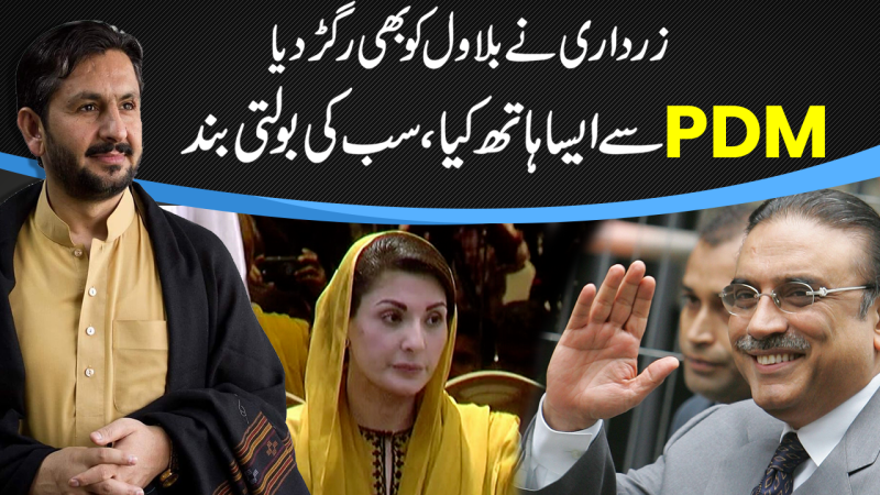 Zardari Failed Bilawal In Senate Chairman Election