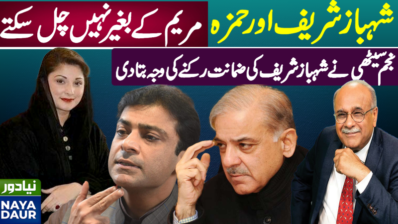 Shehbaz, Hamza Will Not Let PMLN Split For Establishment: Najam Sethi