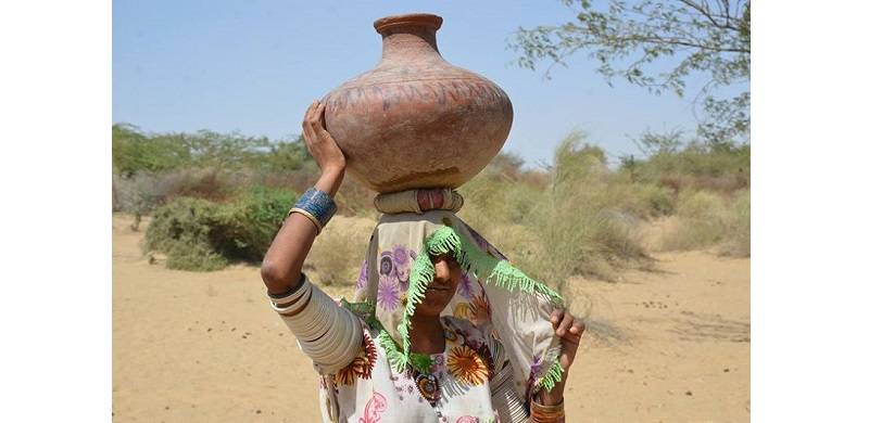 Left High And Dry: Sindh Government RO Plants Not Functioning To Provide Water To Tharparkar