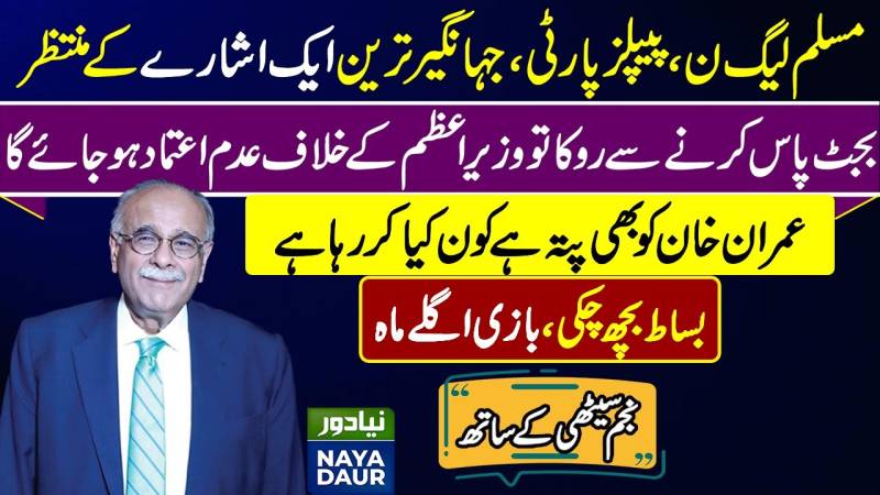 Kuch Udhar ka bhi ISHARA... | Najam Sethi | Naya Daur