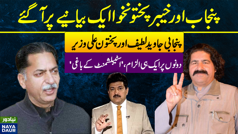 Punjabi Javed Latif, Pakhtun Ali Wazir 'Traitors' For Govt, Heroes For Their People: Hamid Mir