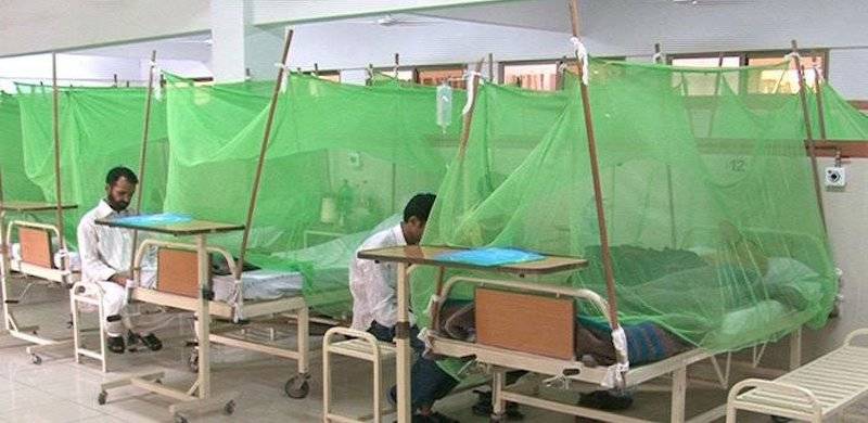 Dengue Claims 3 Lives In Punjab
