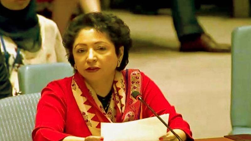 Lodhi Criticizes US Sanctions, Stresses No Impact On Pakistan