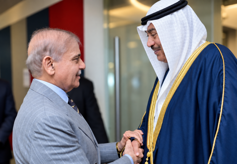 PM Shehbaz meets world leaders on UNGA sidelines