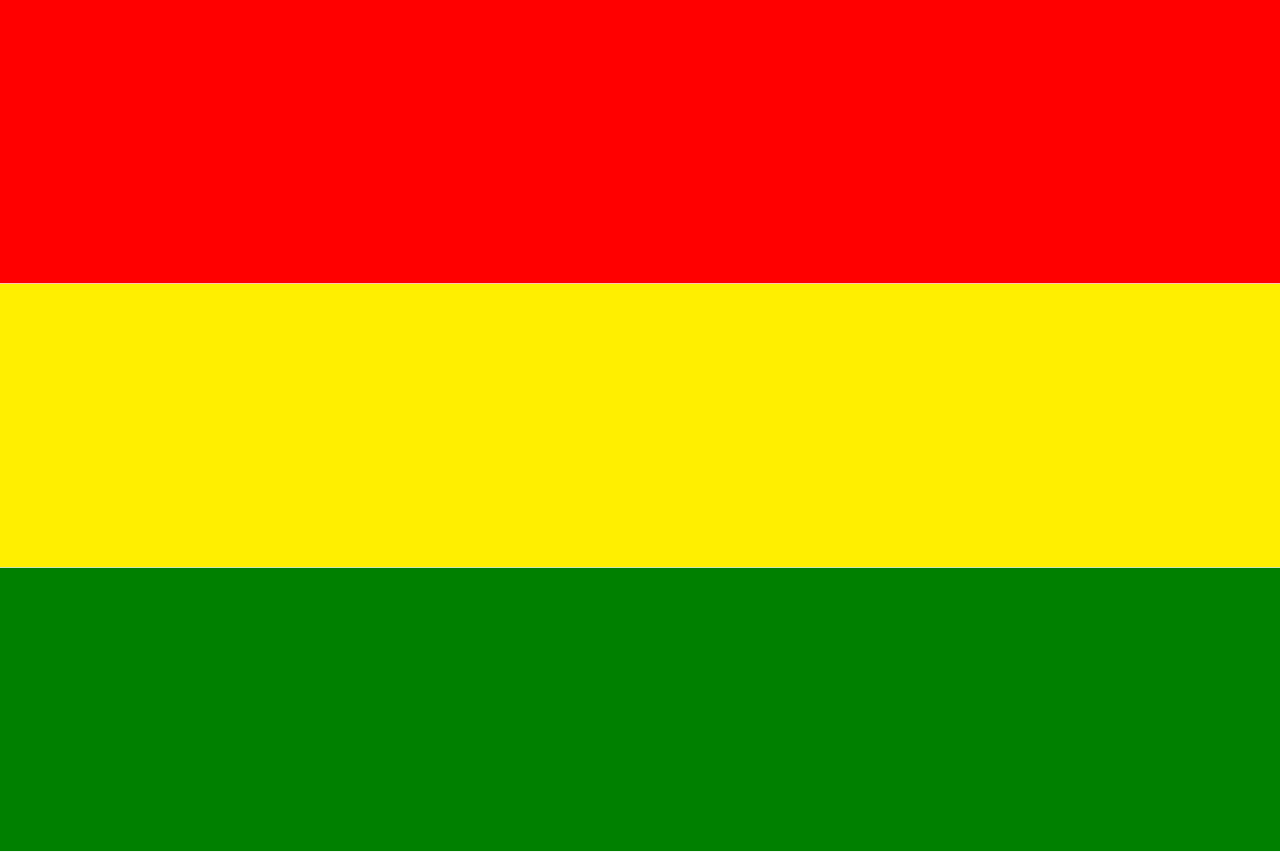 BNP flag