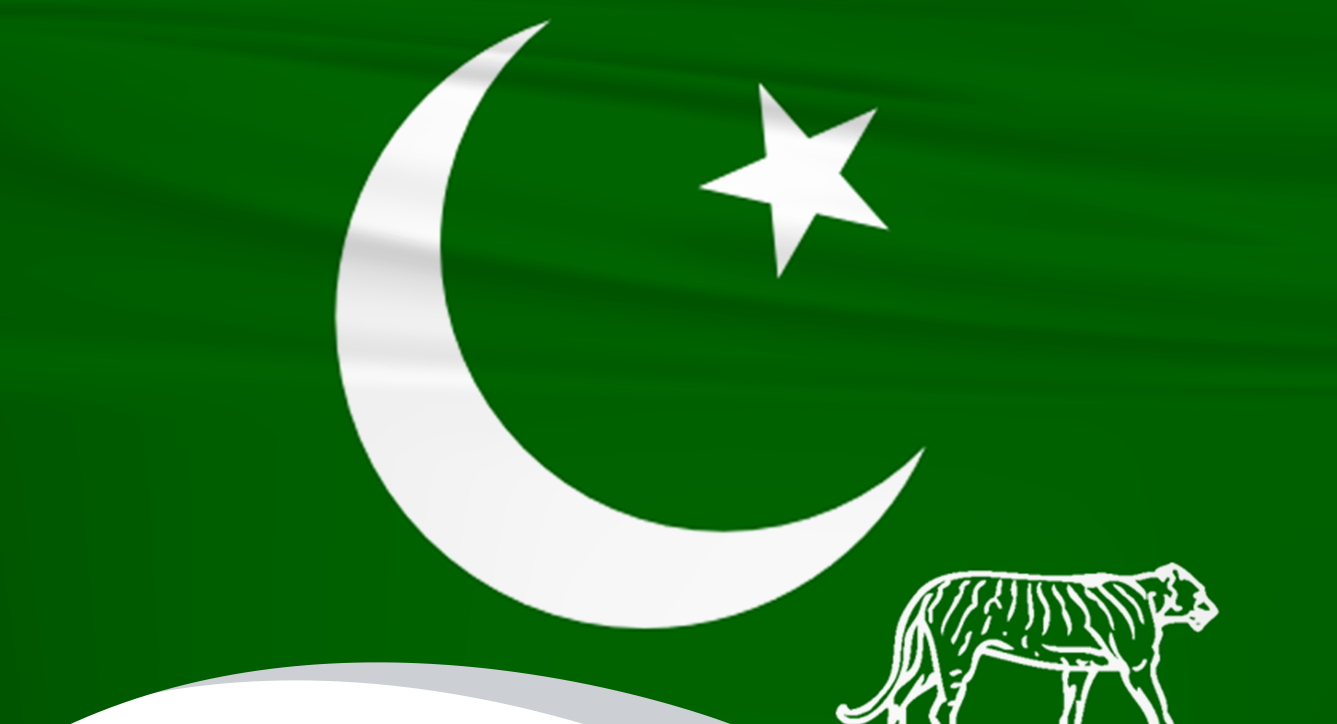 PML-N party flag